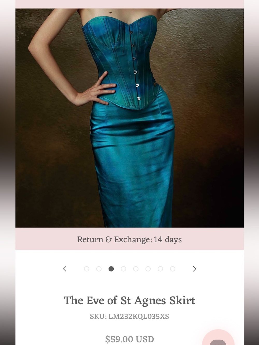 The Eve of St Agnes skirt and corset set - Picture 3 of 5